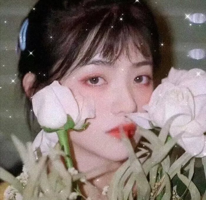 睡花