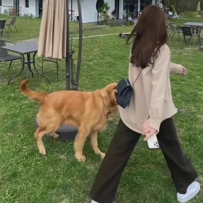 超极限